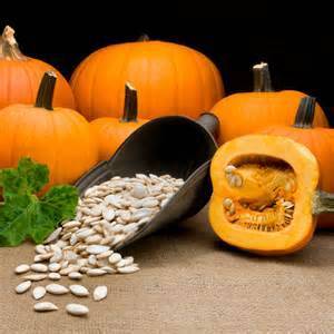 the pumpkin seed at the prostatitis