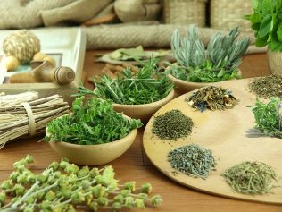 the treatment of the power of herbs